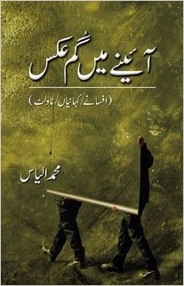 Ainay Main Gum Aks