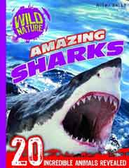 Amazing Sharks Wild Nature