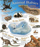 Animal Babies (Natural History Wallchart)