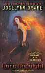 Burn The Night: The Final Dark Days Novel
