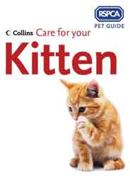 Care for your Kitten RSPCA Pet Guide