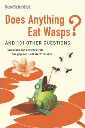 Does Anything Eat Wasps