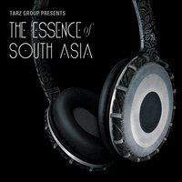 Essence of South Asia