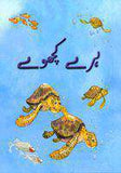 Haray Kachhway