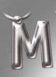 Initial Keyring Letter M