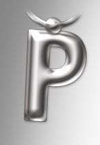 Initial Keyring Letter P