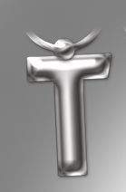 Initial Keyring Letter  T