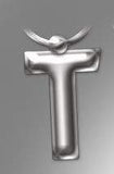 Initial Keyring Letter  T