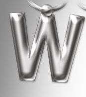 Initial Keyring Letter  W