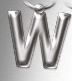 Initial Keyring Letter  W