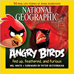 National Geographic Angry Birds: 50 True Stories of the Fed Up, Feathered, and Furious