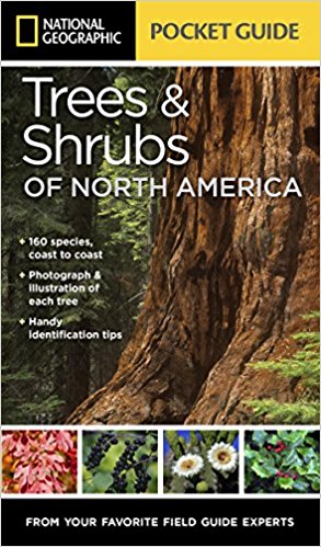 National Geographic Pocket Guide to Trees and Shrubs of North America (National Geographic Guide)