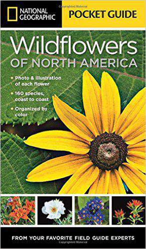 National Geographic Pocket Guide to Wild flowers of North America