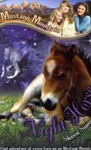 Night Horse Mustang Mountain
