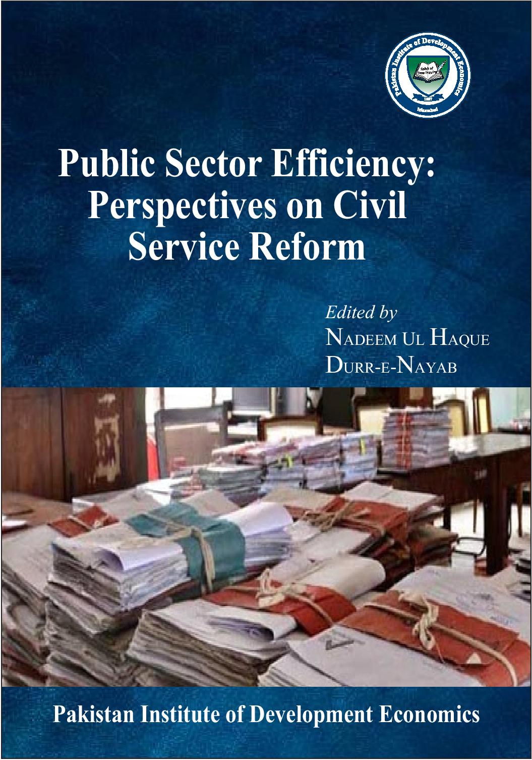 Public Sector Efficiency: Perspectives on civil service