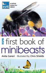 RSPB First Book Of Minibeasts