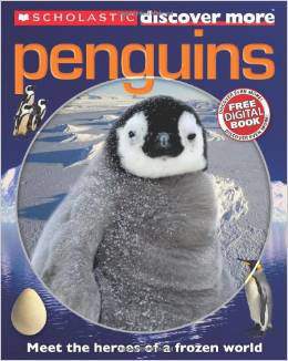 Scholastic Discover More Penguins