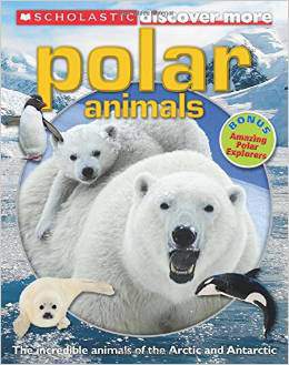 Scholastic Discover More Polar Animals