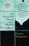 The Beautiful Things That Heaven Bears -