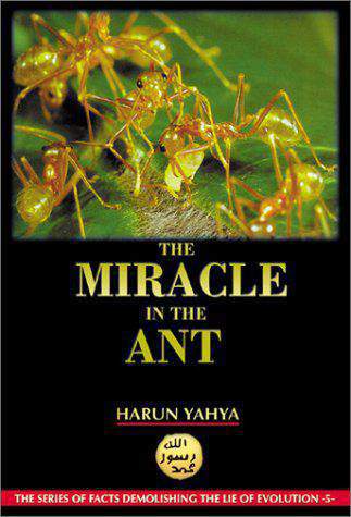 The Miracle in the Ant