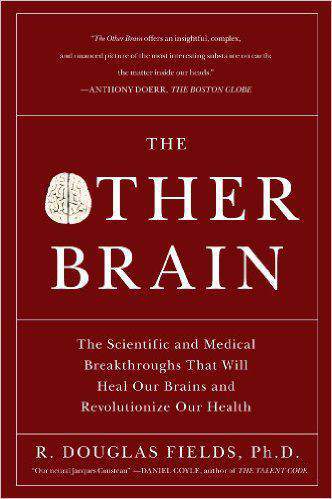 The Other Brain: The Scientific and Medical Breakthroughs That Will Heal Our Brains and Revolutionize Our Health