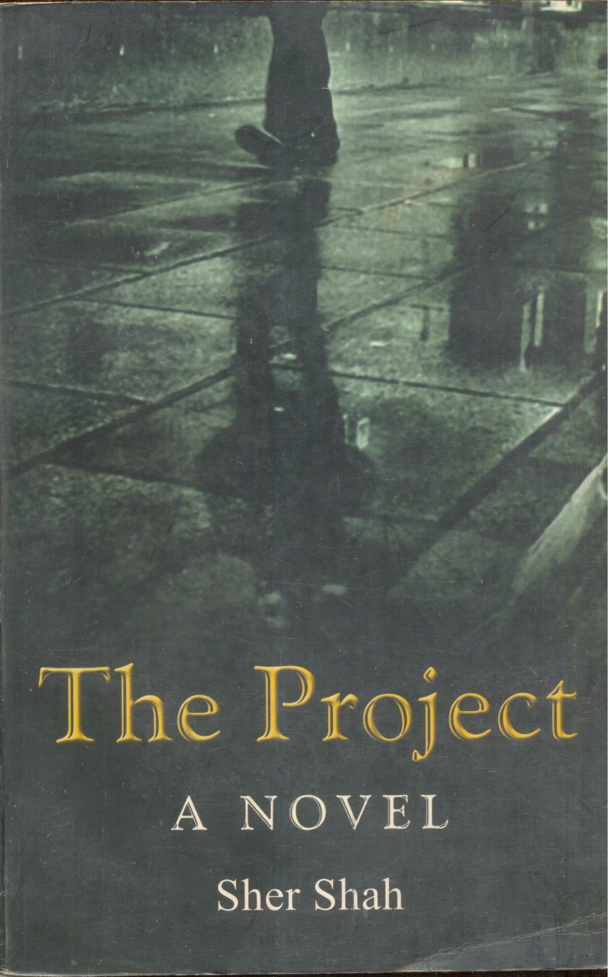 The Project: A Novel