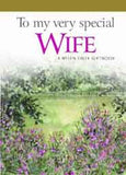 To a Very Special Wife Plaque