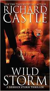 Wild Storm A Derrick Storm Thriller Mass Market